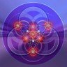 Mushroom Farm Supplies - Fungi Forum