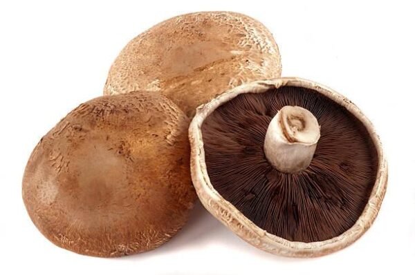 Portobello Mushroom Compress
