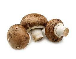 Swiss Brown Mushroom Agaricus Bisporus