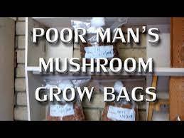 Poor Mans Mushroom Grow Bags