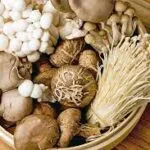 Basic Mushroom Cultivation Starter Kit